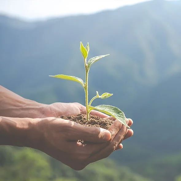 Environmentally and health friendly