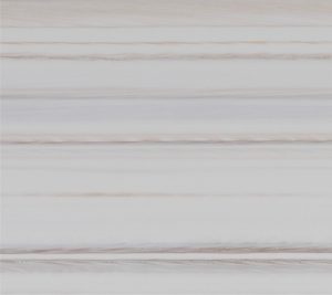 White maple N 546
